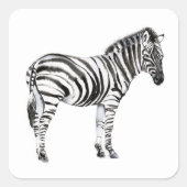 Stehend Zebra Quadratischer Aufkleber (Vorderseite)