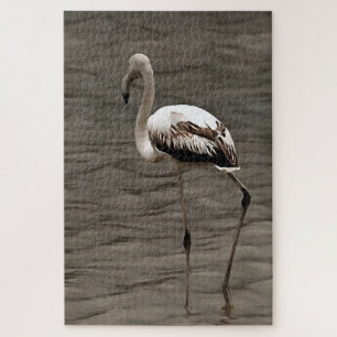 Stehende Alone Juvenile Flamingo Kunst Puzzle