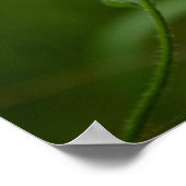 Stehende Ausgabe Poster (Ecke)