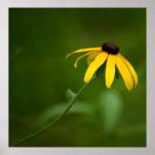 Stehende Ausgabe Poster (Vorne)