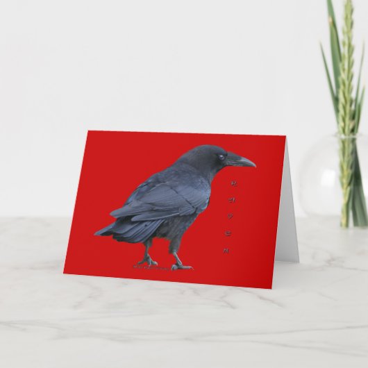 Stehende Black Raven Art Sammelkarten Feiertagskarte (Vorderseite)