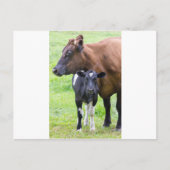 Stehende braune Mutterkuh mit Schwarz-weißem Kalb Postkarte (Vorderseite)