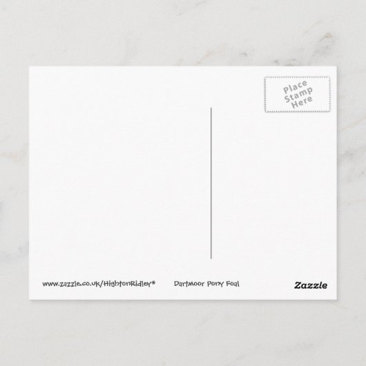 Stehende Dartmoor Pony Foal Postkarte (Rückseite)