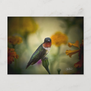 Stehende Garde Postkarte