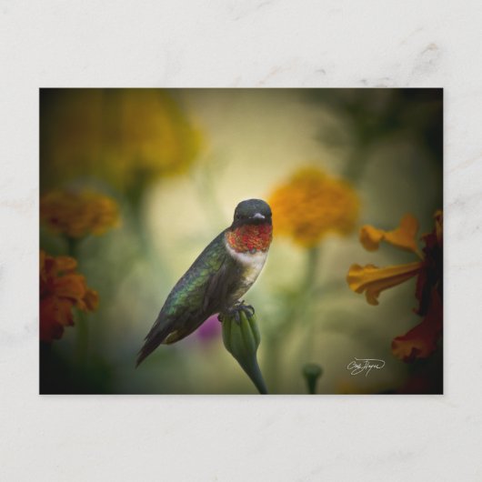 Stehende Garde Postkarte (Vorderseite)