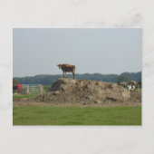 Stehende hübsche Postkarte (Vorderseite)