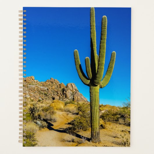 Stehende Kaktus Planer (Vorderseite)