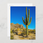 Stehende Kaktus Postkarte (Vorne/Hinten)
