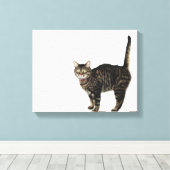 Stehende männliche Tablet-Katze Leinwanddruck (Insitu (Holzboden))