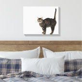 Stehende männliche Tablet-Katze Leinwanddruck (Insitu (Schlafzimmer))