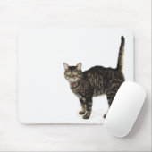 Stehende männliche Tablet-Katze Mousepad (Mit Mouse)