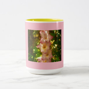 Stehende rosa Blume blüht Zweifarbige Tasse