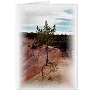 Stehender Alleinreisender im Bryce Canyon