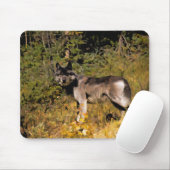 Stehender Grauer Wolf & Forest Wildlife Foto Art Mousepad (Mit Mouse)