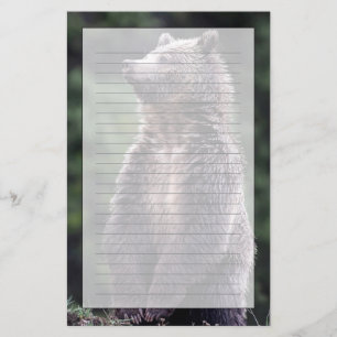 Stehender Grizzly-Bär Briefpapier