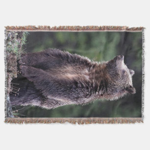 Stehender Grizzly-Bär Decke