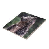 Stehender Grizzly-Bär Fliese (Seite)