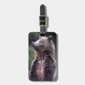 Stehender Grizzly-Bär Gepäckanhänger (Vorderseite vertikal)