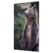 Stehender Grizzly-Bär Klemmbrett (Links)