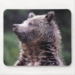 Stehender Grizzly-Bär Mousepad