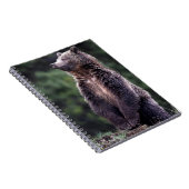 Stehender Grizzly-Bär Notizblock (Rechte Seite)