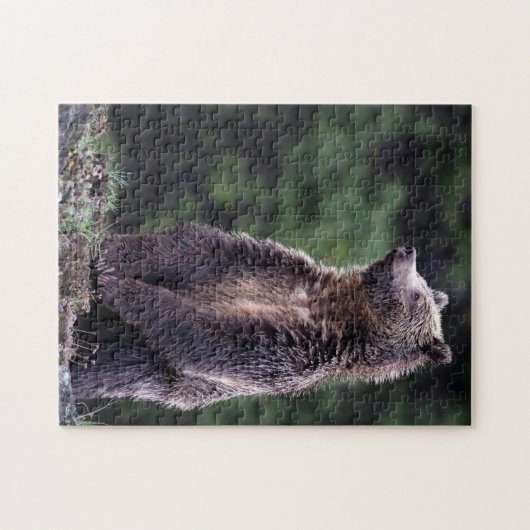 Stehender Grizzly-Bär Puzzle (Horizontal)