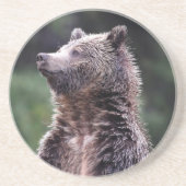Stehender Grizzly-Bär Untersetzer (Vorne)