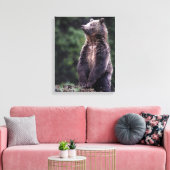 Stehender Grizzlybär Leinwanddruck (Insitu (Wohnzimmer))
