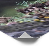 Stehender Grizzlybär Poster (Ecke)