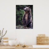 Stehender Grizzlybär Poster (Küche)