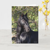 Stehender Headshot des Black Andalucian Horse Karte (Gelbe Blume)