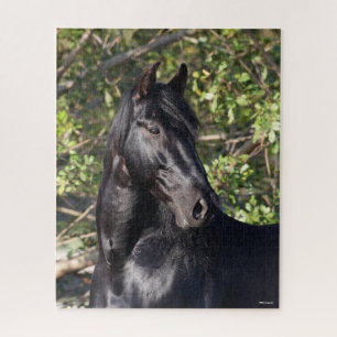 Stehender Headshot des Black Andalucian Horse Puzzle