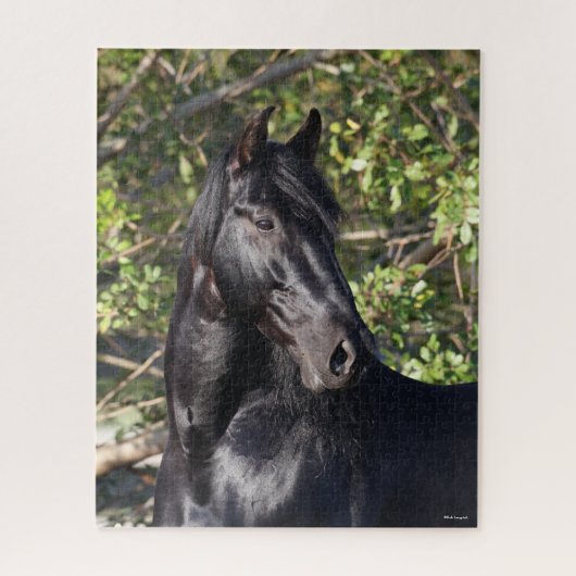 Stehender Headshot des Black Andalucian Horse Puzzle (Vertikal)