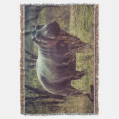 Stehender Hippo-Posing bei Kamera in Africa Foliag Decke (Vorderseite Vertikal)