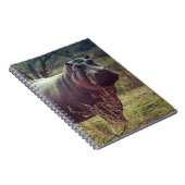 Stehender Hippo-Posing bei Kamera in Africa Foliag Notizblock (Rechte Seite)