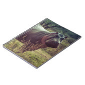 Stehender Hippo-Posing bei Kamera in Africa Foliag Notizblock (Linke Seite)