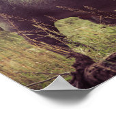 Stehender Hippo-Posing bei Kamera in Africa Foliag Poster (Ecke)