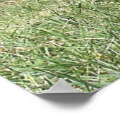 Stehender Keeshond Hund Poster (Ecke)