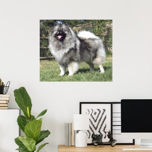 Stehender Keeshond Hund Poster (Heimbüro)