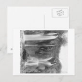 Stehender Mensch unter der Fotograf der Meeresfisc Postkarte (Vorne/Hinten)