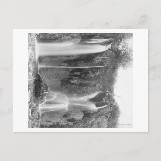 Stehender Mensch unter der Fotograf der Meeresfisc Postkarte (Vorderseite)