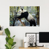 Stehender Panda Poster (Heimbüro)