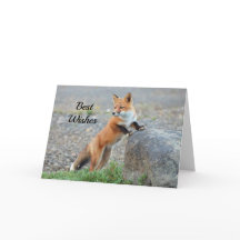 Stehender Red Fox Glückwunsch Hochzeit