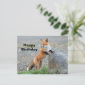 Stehender Rotfuchs Geburtstag Postkarte (Stehend Vorderseite)