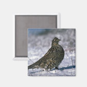 Stehender Ruffelhain auf Schneegebiet Magnet (Vorderseite/Rückseite)