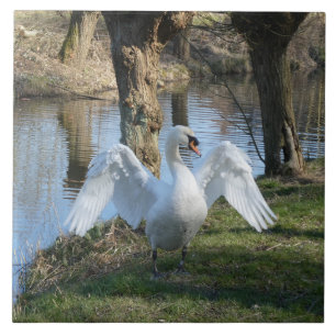 Stehender Schwan mit ausgebreiteten Flügeln Kerami Fliese