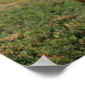 Stehender Schwarzer Bär Poster (Ecke)