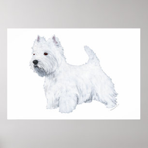 Stehender Westie Poster