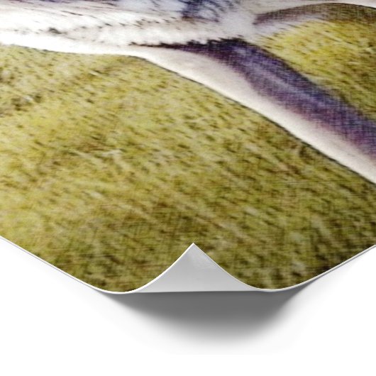 Stehender Wolf Poster (Ecke)