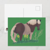 Stehendes Aussehen des Pferdes, Gras Postkarte (Vorne/Hinten)
